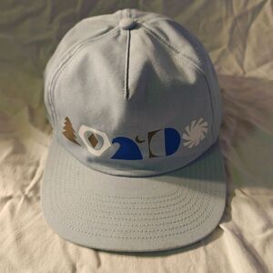 Patagonia Snapback Hat